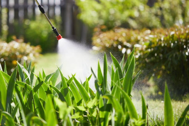 Tamper-Resistant Bait Stations for Rodents in East Dundee