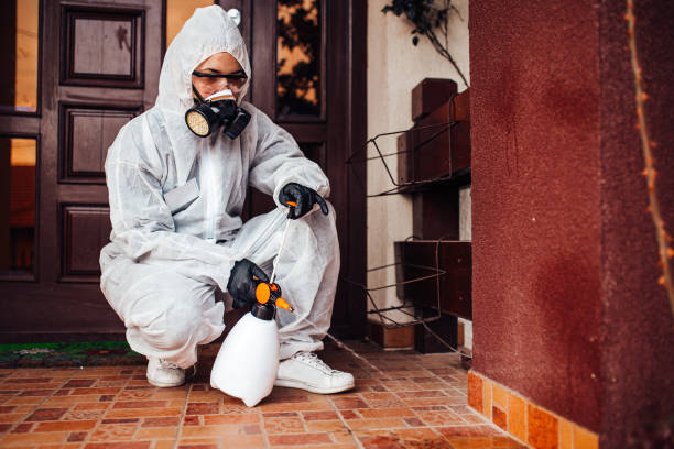 Attic and Crawl Space Rodent Treatment in East Dundee
